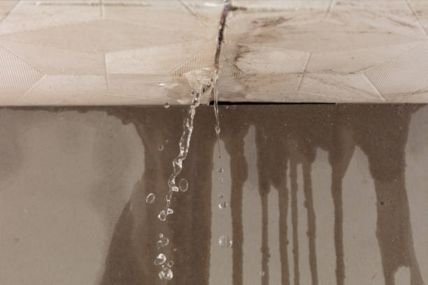 Professional Burst Pipe Cleanup technician working in Kodak, TN